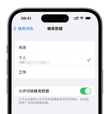 萍乡苹果维修服务分享如何在iPhone上使用双卡 